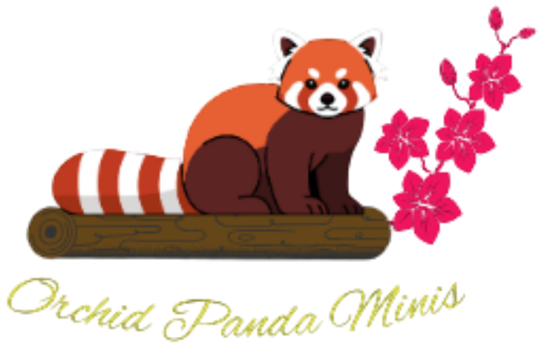logo main